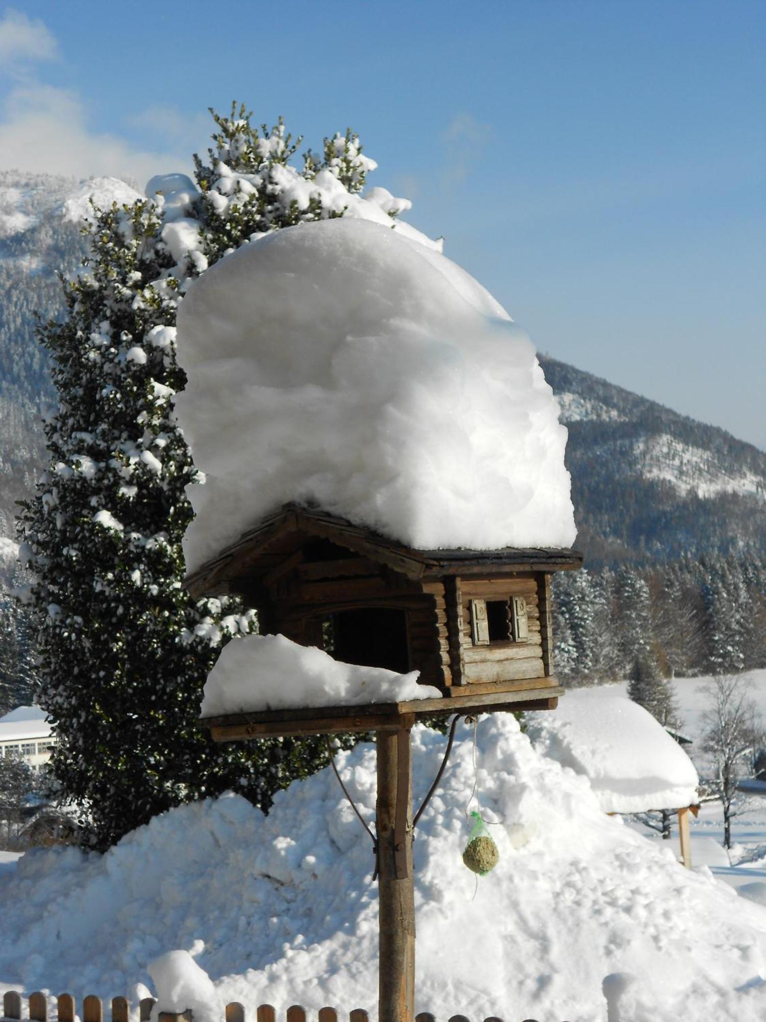 Paulbauer Villa Saint Wolfgang Exteriör bild