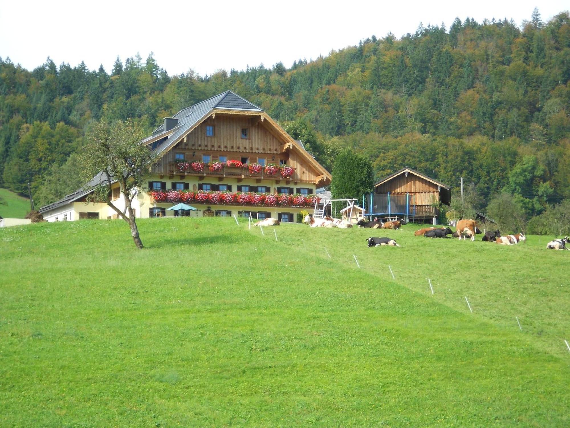 Paulbauer Villa Saint Wolfgang Exteriör bild