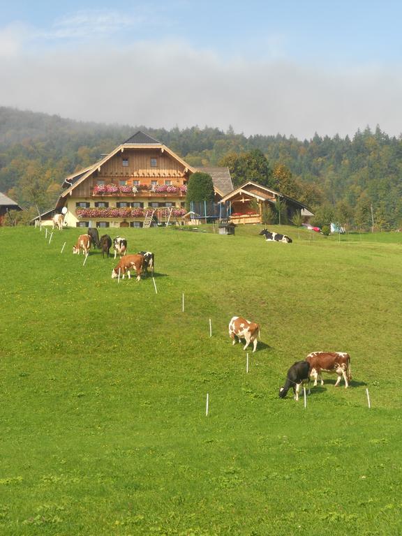 Paulbauer Villa Saint Wolfgang Exteriör bild